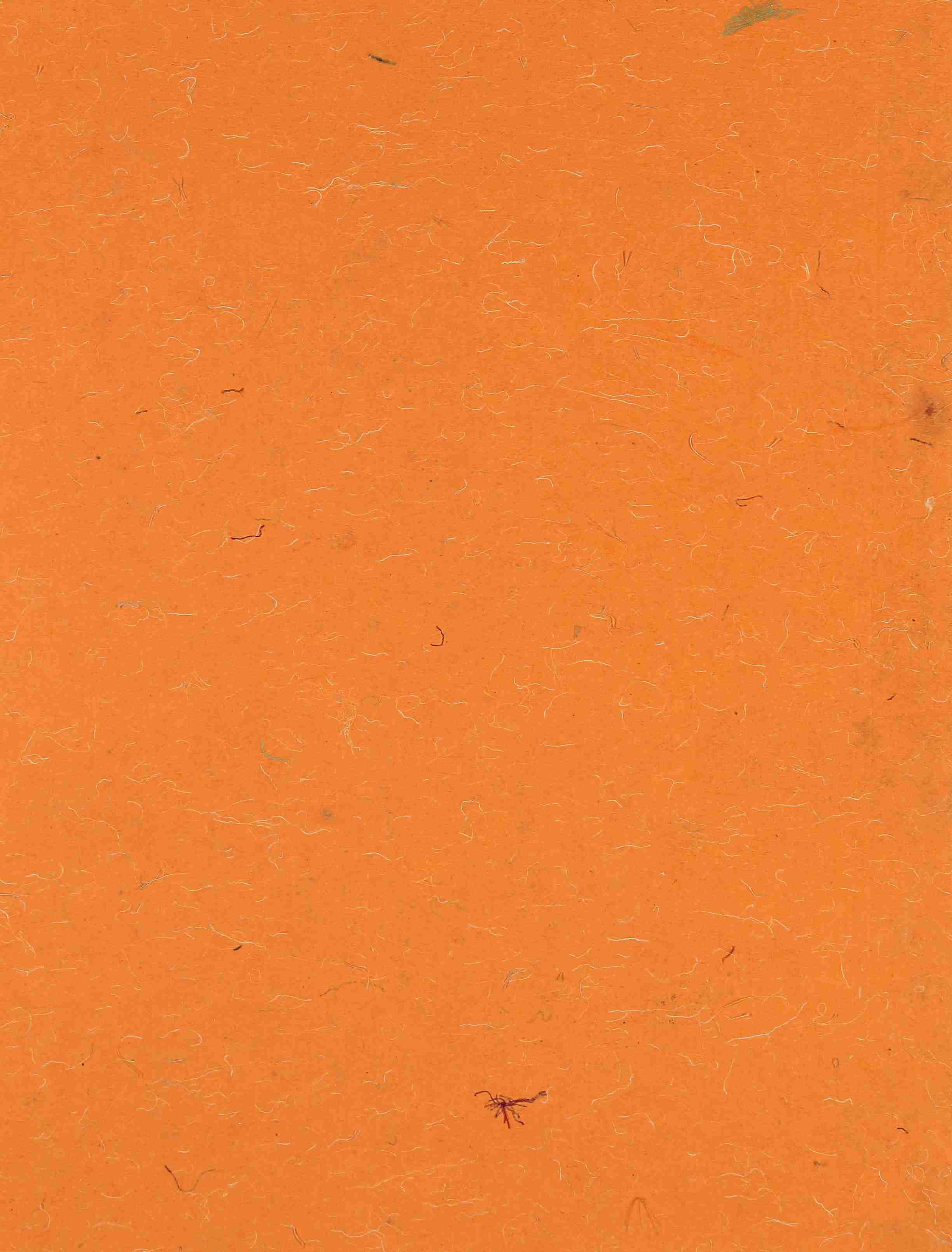 Appointment with Kalidasa