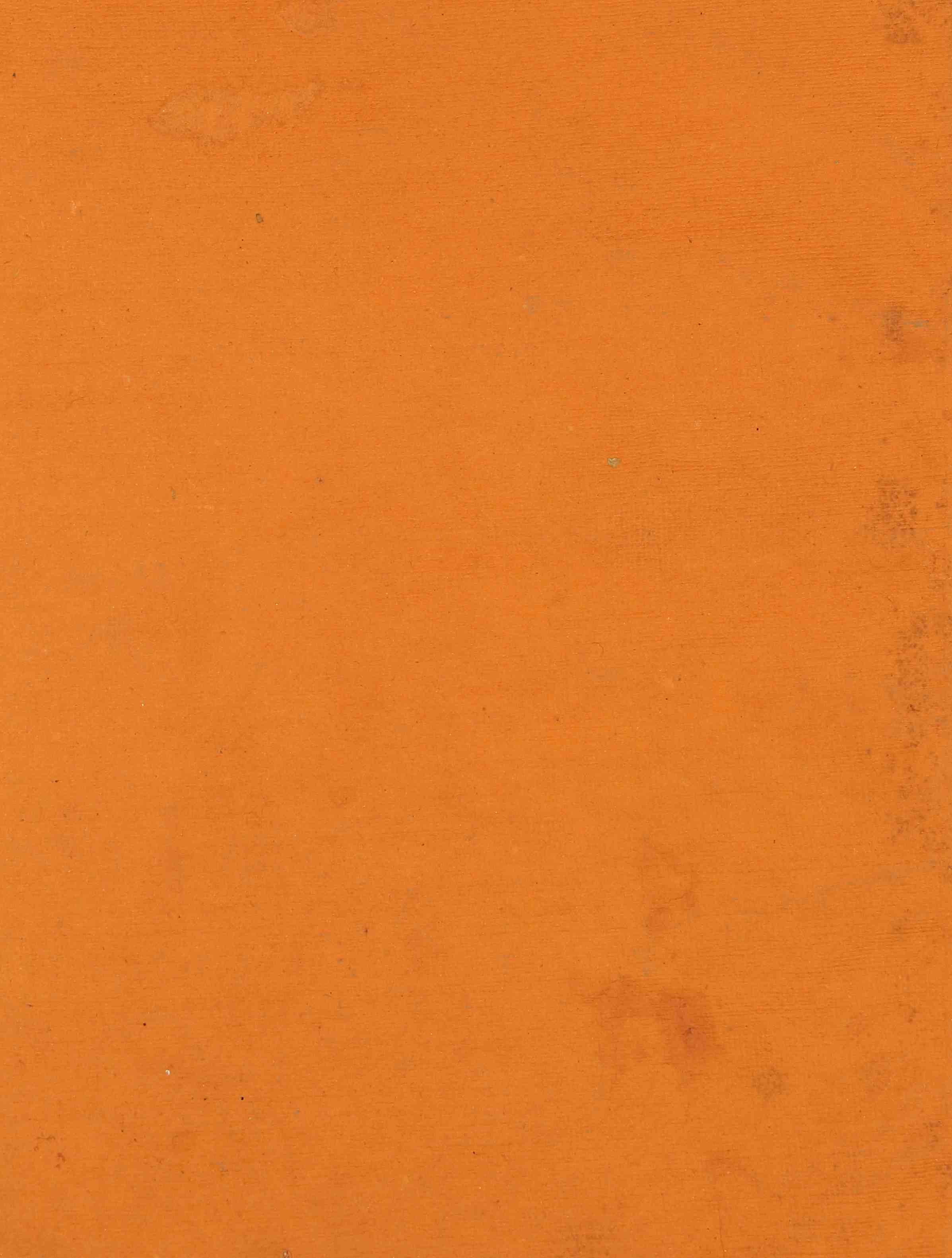 shlokavartika : A Study