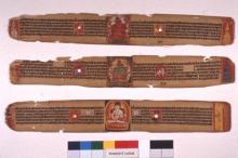 તાડપત્રીય